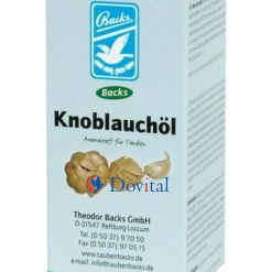 Backs Backs Knoblauchöl 250 ml