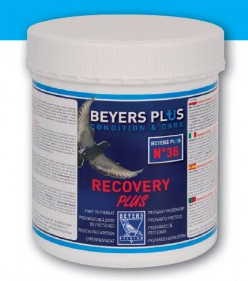 Beyers Recovery Plus600gnbspBeyers Recovery Plus600g