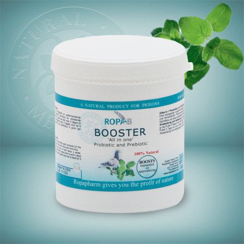 Ropa b ropa b booster all in one probiotic prebiotic 1