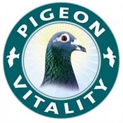 PIGEON VITALITY