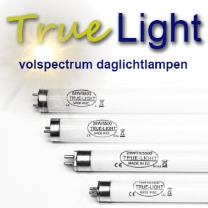 Truelight full-spectrum lamp