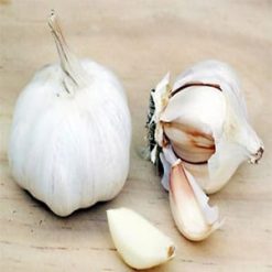 Bio-Allicine garlic extract