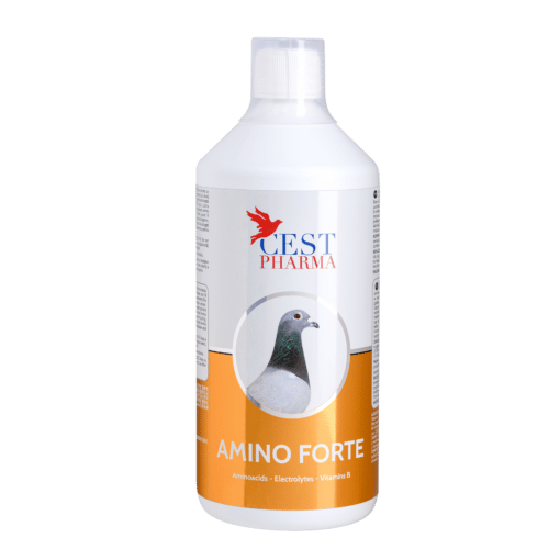 Cest-pharma amino forte 1000 ml