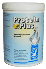 Backs Protein Plus 400g