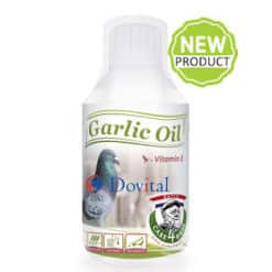 Garlic OilnbspGarlic Oil