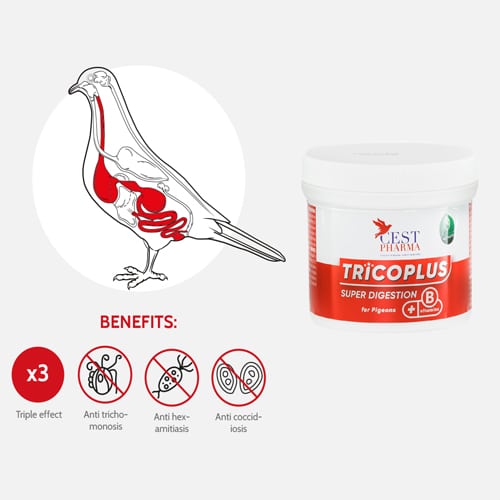 Cest-pharma tricoplus 100 g