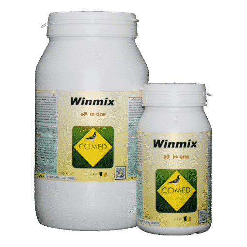 Winmix 4. 0 duif